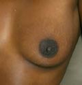 JERKMENOW ebony nipples